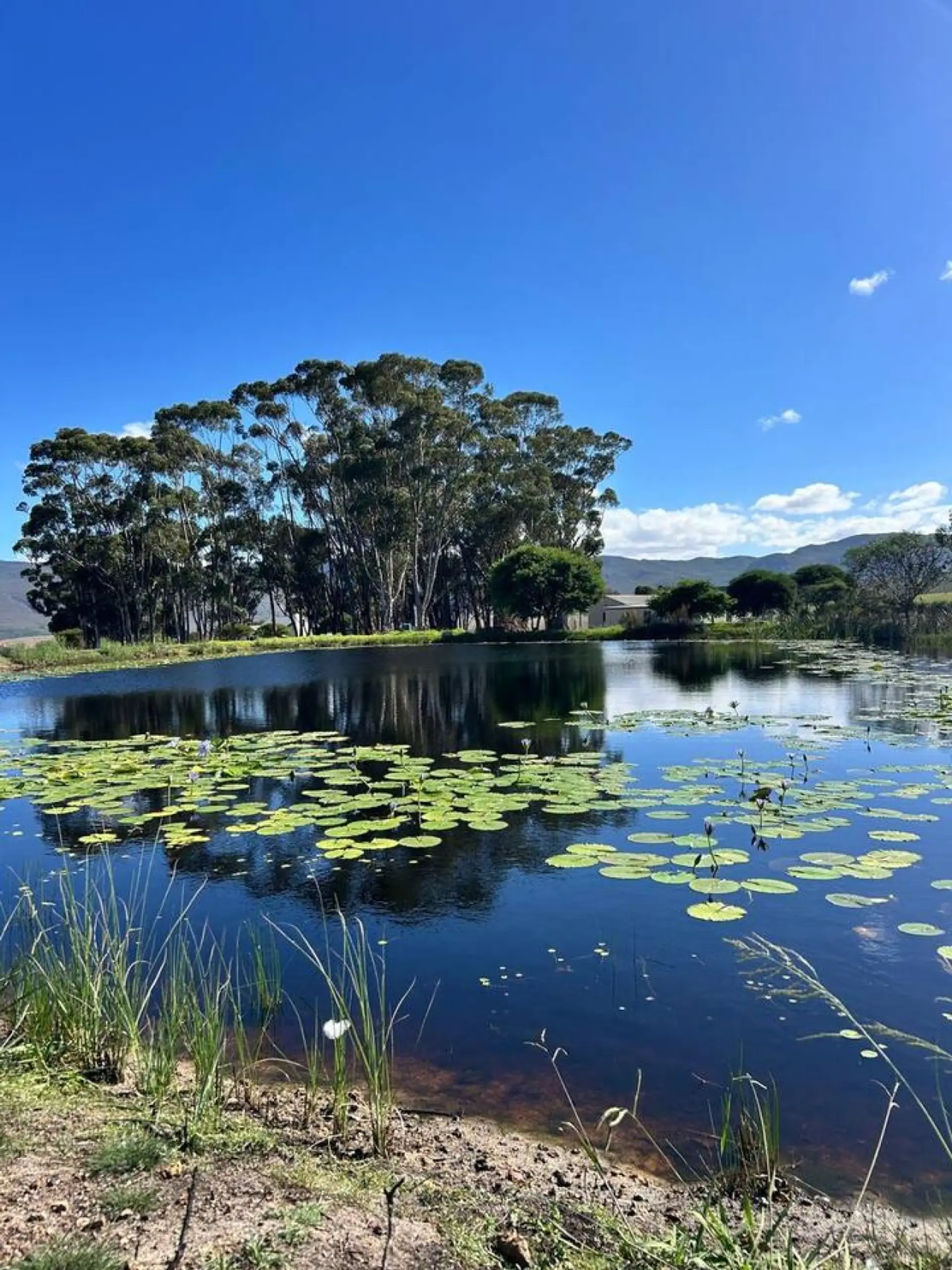 Miale Nuru Farm Stay & Retreat, self-catering accommodation in Hermanus